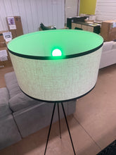 67" Modern Tripod Floor Lamp With RGB LED Bulb,Remote And App Control- WE DO NOT SHIP!!