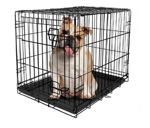 Vibrant Life, Single-Door Folding Dog Crate with Divider, Large, 36