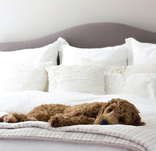 ienjoy Home Collection Soft Brushed Microfiber Duvet Cover Set, Full/Queen, White- NEW IN BAG!!!