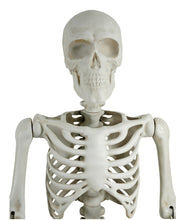 Halloween Giant Posable Skeleton Decoration, Bone Color, 10’!! NEW & ASSEMBLED!