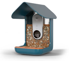 Bird Buddy Outdoor Bird Feeder Kit 9" - Blue!! NEW IN BOX!!