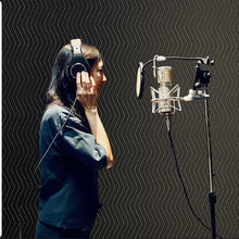 Sound Dampening Blankets, Soundproof Curtains with 96” x 80” , Soundproof Blanket with Grommets, Studio Grommeted Blanket, for Window, Door, Light Blocker, Music Recording, Black (Set of 2)- WE DO NOT SHIP!!