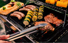 Megamaster 2-Burner Propane Gas Grill in Black! (NEW IN BOX)