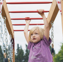 Dolphin Playground Wooden Outdoor Swing Set With 2 Belt Swings, Gym Rings, And Climbing Ladder For Kids!! NEW IN BOX (ALL PARTS COUNTED, MISSING 1 LADDER BAR/ MONKEY BAR)!!