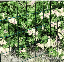 3 ft. x 50 ft. 16-Gauge Green Vinyl Coated Welded Wire Fence with Mesh Size 3 in. x 2 in.- new in box