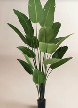 Birch Lane Artificial Bird of Paradise in Pot with Dried Moss, UV Resistant- 72” tall/ new