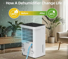 Edendirect 30 pt. 1,500 sq.ft. Portable Dehumidifier in White with Auto Defrost, Dual Filters, Variable Speeds, Continuous Run! (NEW IN BOX - Refurbished!)