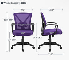 Lundys Mesh Office Chair with Lumbar Support