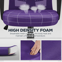 Lundys Mesh Office Chair with Lumbar Support