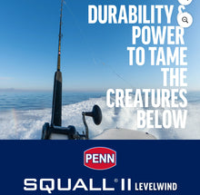 PENN Squall® II Level Wind Combo, 6'6" Medium Heavy Fishing Rod, 30 Size Reel- new