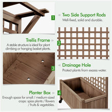 Yanine 75" H Fir Wood Planter Box with Trellis