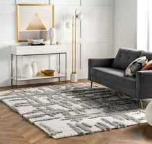 nuLOOM Lydia High Low Modern Soft Shaggy Beige 8 ft. 10 in. x 12 ft. Indoor Area Rug!! NEW IN PLASTIC!!