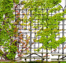 7.2 ft. Black Outdoor Metal Rustproof Garden Trellis, (2-Pack)! (NEW IN BOX)