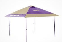 12 by 12 LOGO canopy- has kink in one strut- please see pics- does set up ok
