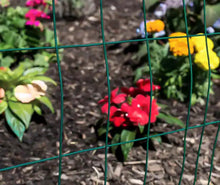 3 ft. x 50 ft. 16-Gauge Green Vinyl Coated Welded Wire Fence with Mesh Size 3 in. x 2 in.- new in box