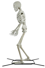 Halloween Giant Posable Skeleton Decoration, Bone Color, 10’!! NEW & ASSEMBLED!