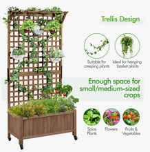 Yanine 75" H Fir Wood Planter Box with Trellis