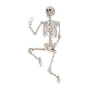 Halloween Plastic Posable Human Skeleton Decoration, Bone Color, 5FT, 3.5lbs, by Way To Celebrate**New**