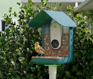 Bird Buddy Outdoor Bird Feeder Kit 9" - Blue!! NEW IN BOX!!