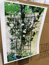 7.2 ft. Black Outdoor Metal Rustproof Garden Trellis, (2-Pack)! (NEW IN BOX)