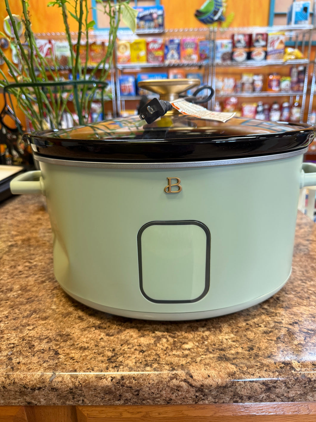 Beautiful 6 Quart Programmable Slow Cooker, Green!! NEW - DENTED!