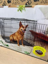 Wire Collapsible Dog Crate - L - Black - Boots & Barkley! (NEW IN BOX)