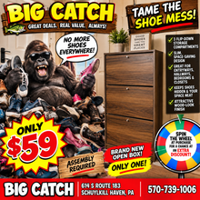 BIG CATCH — $59 SHOE CABINET