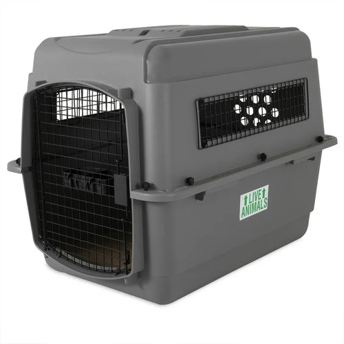 Petmate Sky Kennel IATA Airline Friendly Dog Crate Plastic Travel Pet Carrier, Medium 32