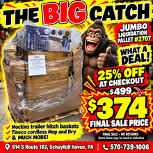 Jumbo Liquidation Pallet #2707 

 

tall stuffed Gaylord !