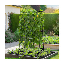 A-Frame Garden Trellis Iron Climbing Plants Green Bean Grow Support Stand With Nylon Net! (NEW IN BOX)
