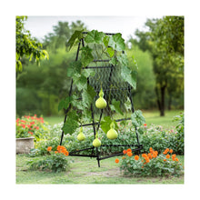 A-Frame Garden Trellis Iron Climbing Plants Green Bean Grow Support Stand With Nylon Net! (NEW IN BOX)