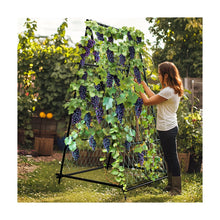 A-Frame Garden Trellis Iron Climbing Plants Green Bean Grow Support Stand With Nylon Net! (NEW IN BOX)