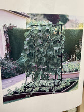 A-Frame Garden Trellis Iron Climbing Plants Green Bean Grow Support Stand With Nylon Net! (NEW IN BOX)