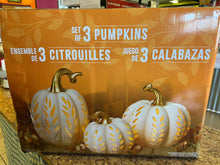 Pumpkins with Lights, Set of 3, White

-New in the box (middle size pumpkin’s frosted insert is loose, still works great!)
