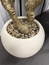 5ft Large Luxury Artificial Olive Tree in Planter, Realistic Faux Olive Tree with Lifelike Leaves & Fruits, Extra Lush Stereoscopic Shape, Tall Indoor Fake Tree for Home, Office, Restaurant Décor! (NEW - MINOR DEFECT ON ONE LIMB)