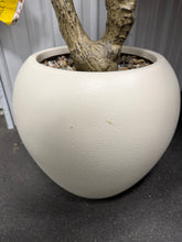 5ft Large Luxury Artificial Olive Tree in Planter, Realistic Faux Olive Tree with Lifelike Leaves & Fruits, Extra Lush Stereoscopic Shape, Tall Indoor Fake Tree for Home, Office, Restaurant Décor! (NEW - MINOR DEFECT ON ONE LIMB)