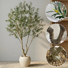 5ft Large Luxury Artificial Olive Tree in Planter, Realistic Faux Olive Tree with Lifelike Leaves & Fruits, Extra Lush Stereoscopic Shape, Tall Indoor Fake Tree for Home, Office, Restaurant Décor! (NEW - MINOR DEFECT ON ONE LIMB)