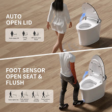 DeerValley Luxury Elongated Smart Toilet With Bidet: Auto Open/Close Lid, UV Sterilization, Warm Air Dryer and Blackout Flush in White DV-1S0019! (NEW IN BOX)