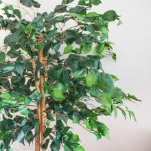 Nearly Natural
5 ft. Artificial High Indoor Ficus Tree/ new