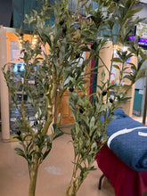 BRAND NEW 6FT FAUX OLIVE TREE — ONLY $49.00! 🌿