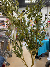 BRAND NEW 6FT FAUX OLIVE TREE — ONLY $49.00! 🌿