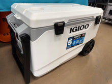 Igloo Latitude 137 Cans 90 Quart Rolling Cooler - White: Polyethylene, Tow Handle! (Brand New)