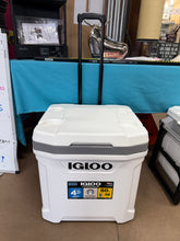 Igloo Latitude 60qt Rolling Cooler - Mint: Hard-Sided with Cup Holder & Drain Plug! (NEW)