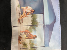 10 x 10 Weekender Canopy with Wind Vent & Shade Wall from Embark- new