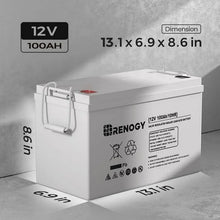 Renogy Deep Cycle AGM 12 Volt 100Ah Battery, 3% Self-Discharge Rate, 1100A Max Discharge Current, Safe Charge Appliances for RV, Camping, Cabin, Marine and Off-Grid System, Maintenance-Free! (NEW IN BOX)