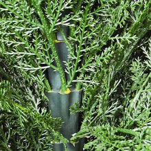 4.03 ft. Artificial Cedar Topiary Tree (2 Pieces) with Extra Leaves and Pot Faux Evergreen Fake Pine Cypress Trees- new in box