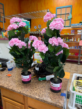 Artificial 37 in. pink hydrangea in black pot- new