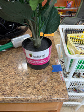 Artificial 37 in. pink hydrangea in black pot- new