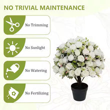 Single 24 in. artificial rose topiary, designed for versatile indoor/outdoor use