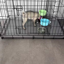 Wire Collapsible Dog Crate - M - Black - Boots & Barkley-new